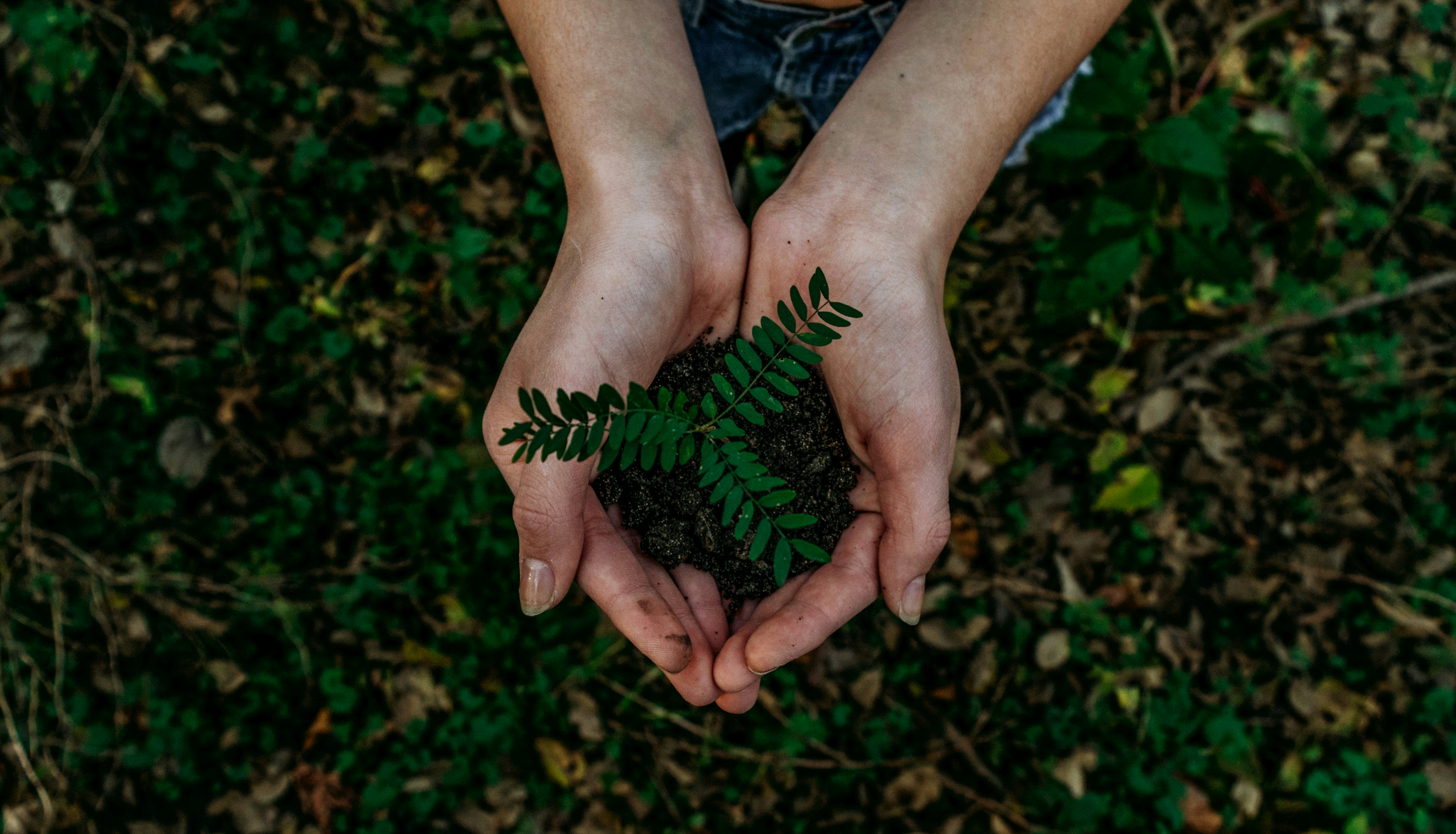 Eco-friendly cleaning products